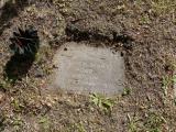 image of grave number 696393